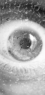 Close-up monochrome image of a human eye with striking details.