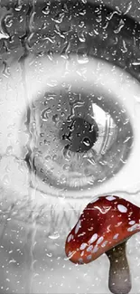 Monochrome eye with raindrops and red mushroom.