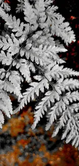 Monochrome fern leaves on red background wallpaper.