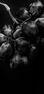 Moody black and white grape cluster on dark background.