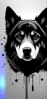 Monochrome Husky portrait with ink splash design.