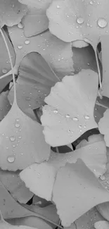 Monochrome ginkgo leaves with water droplets on a mobile wallpaper.