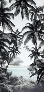 Monochrome palm tree scene with ocean backdrop.