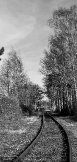 Monochrome image of railway tracks with trees.