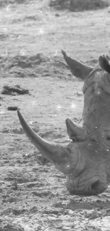 Monochrome image of a rhinoceros in natural habitat.