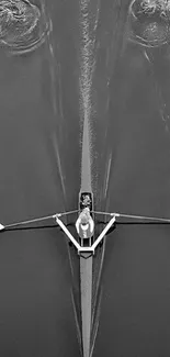 Monochrome wallpaper featuring a single rower on calm water.