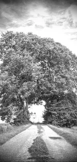 Monochrome photo of a rural road under a large tree, perfect for a calming wallpaper.