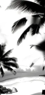 Monochrome wallpaper featuring tropical palm trees on a serene beach.