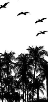 Monochrome palm tree silhouette with birds flying overhead.