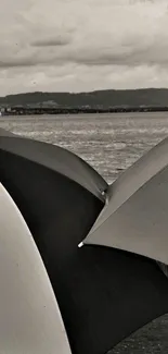 Black and white umbrellas on a seaside landscape, abstract style.