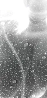 Monochrome mobile wallpaper with abstract water droplets on glass surface.