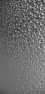 Monochrome water droplets on phone wallpaper, creating elegant texture.