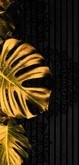 Golden monstera leaves on a black sleek background.