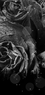 Black and white wallpaper of wilted roses.