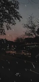 Moody evening street view with cars and rain.