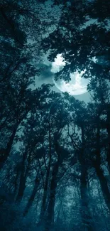 Mystical forest night scene with moonlight shining through trees.