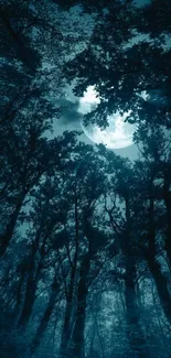 Moonlit forest night scene with silhouetted trees and a glowing moon.