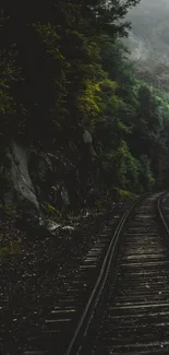 Moody forest train track with lush greenery and mist.