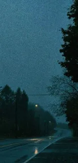 Misty nighttime road with trees and fog.