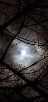 Silhouetted tree branches under a glowing full moon.