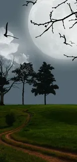 Moonlit landscape with trees and a winding path.