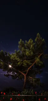 A silhouetted tree under a moody night sky with distant stars.