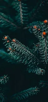 Moody pine branch wallpaper with dark green hues and orange accents.