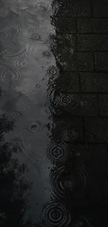 Raindrop ripples on a dark surface creating a moody pattern.