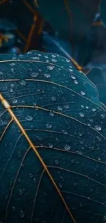 Close-up of a dark leaf with raindrops in blue tones.