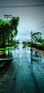 Moody rainy urban street with lush greenery and reflections.