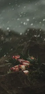 Moody wallpaper with roses on rocks in stormy setting.