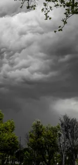 Gray storm clouds loom over vibrant green trees.