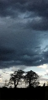 Silhouetted trees under dark, dramatic clouds during evening.