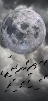 Full moon and birds against a cloudy night sky wallpaper.