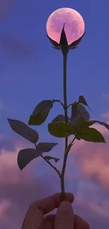 Full moon aligned with flower against twilight sky.