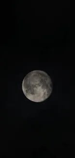 Moon Sky Moonlight Live Wallpaper