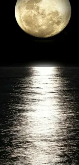 Full moon reflecting over a tranquil ocean at night.