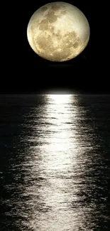 Full moon reflecting on ocean surface at night.