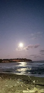 Moonlit beach with waves and a night sky.