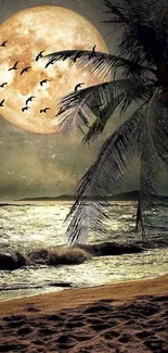 Moonlit beach with palm tree and ocean waves at night.