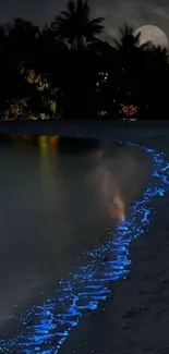 Moonlit beach with glowing waves under a starry night.