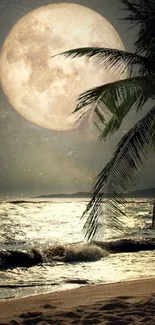 Moonlit beach with full moon and palm trees reflecting over ocean waves.