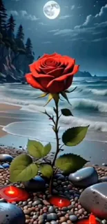 Moonlit beach with red rose and ocean waves.