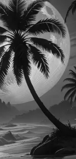 Moonlit beach with palm tree silhouettes at night.