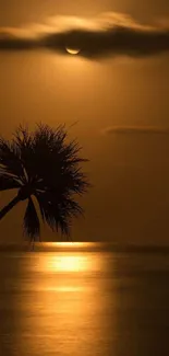 Moonlit beach with palm trees and ocean reflection.