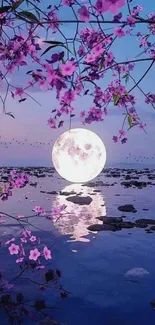 Moonlit beach wallpaper with pink blossoms and serene ocean reflection.