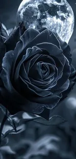 Moonlit black rose with glowing full moon backdrop.