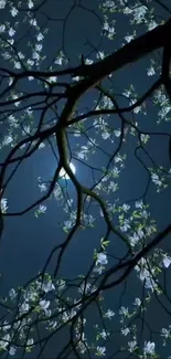 Moonlit tree branches with white blossoms against a dark blue sky.