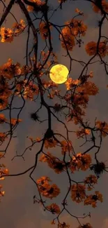 Moonlit night with blossom branches and a glowing full moon.