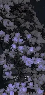 Moonlit night with blooming flowers under a dark blue sky.